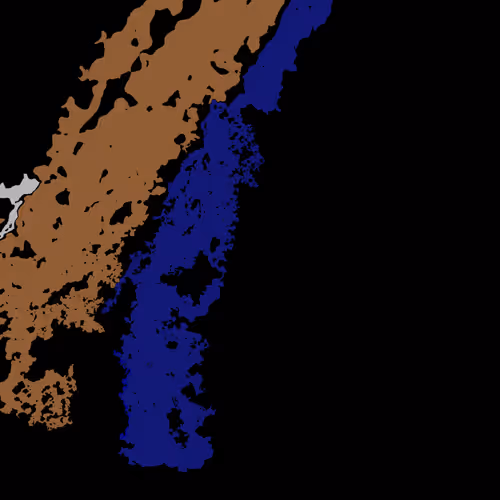 KIZ Caked Collection - old