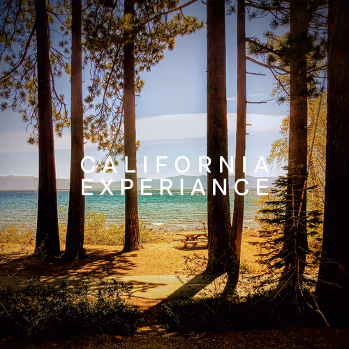 The California Experiance