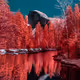 California Eye Candy - Yosemite - old