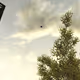 mp_crash