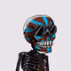 Calv skulls