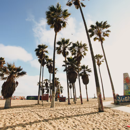 CA : Makes Me Feel Happy - old