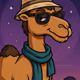 Camel