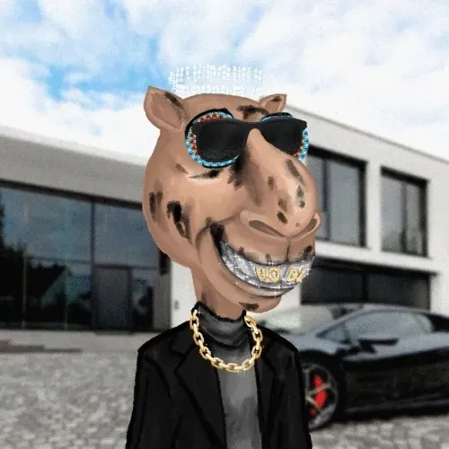 Camel_Cabal