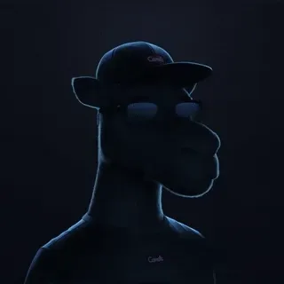 Camels3D