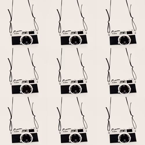 camera (Stephanie Dillon) - old