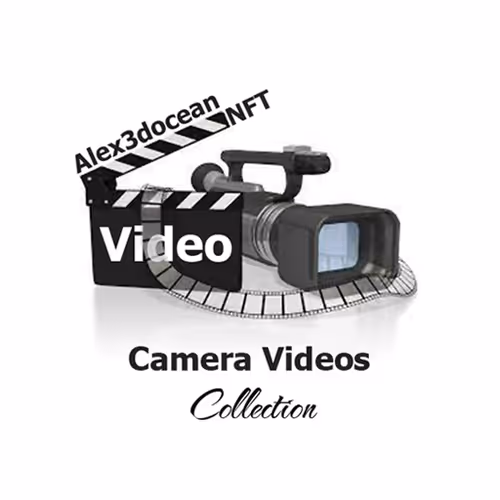 CameraVideoCollection