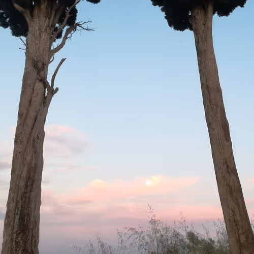 Caminos de Fe