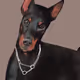 Canis - By T - old