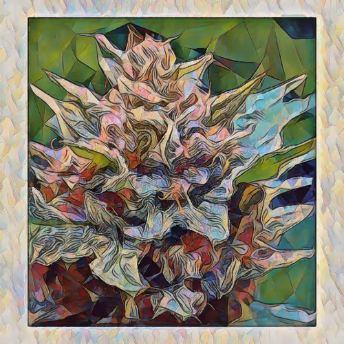 Cannabis Psychedelia
