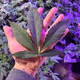 A Cannabis Journey