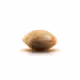 CannaClub.eth Founder Seeds - old