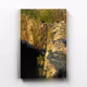 Canvas In The Cave