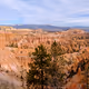 Canyonlands - Bryce
