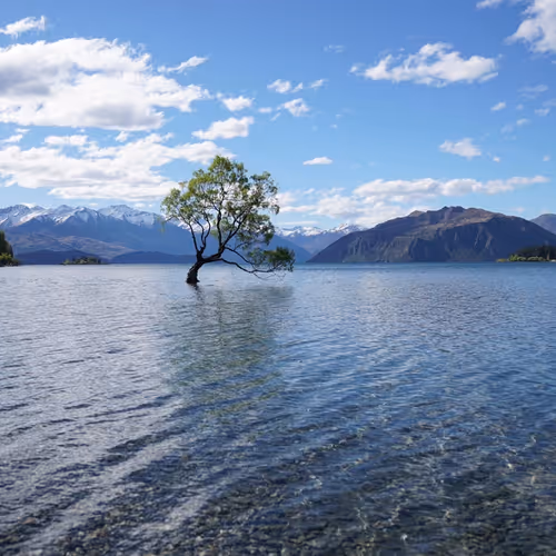 Architecture* Collection