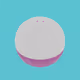 capsule toy