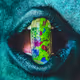Capsule Universe