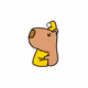 Capybaras Collection1