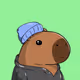 Capybara Space