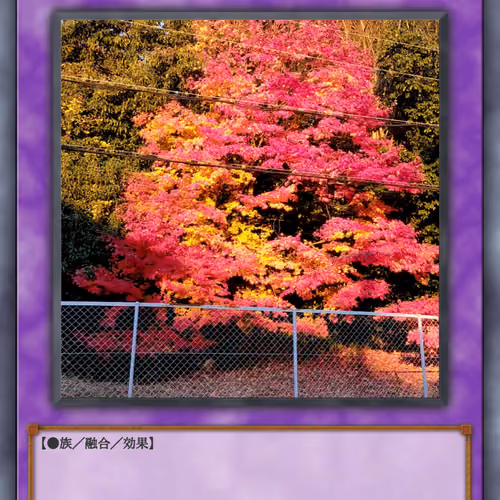 card nft japan