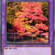 card nft japan