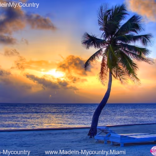 Caribbean dreaming..