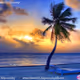 Caribbean dreaming..