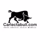 Carlectabull.com - old