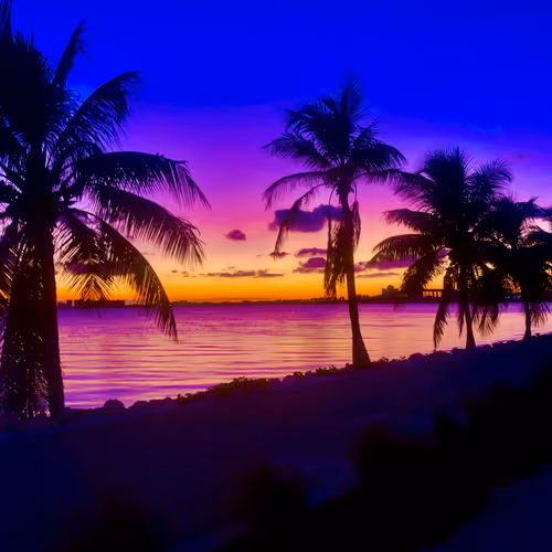 Miami by Miami