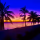 Miami by Miami