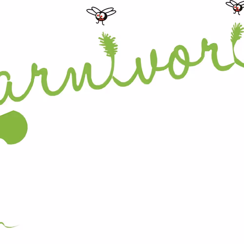 Carnivoritas collection