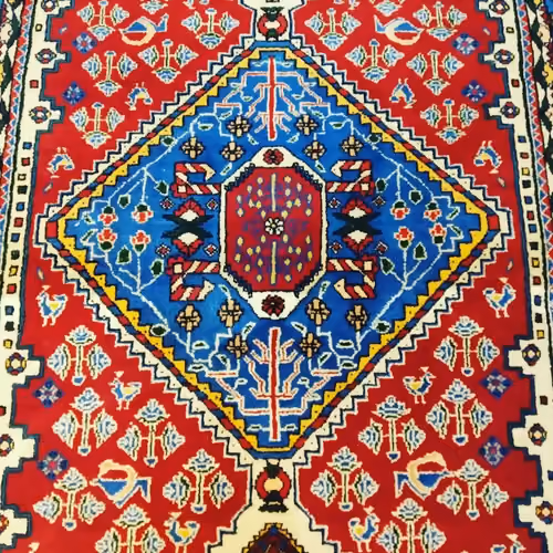 Carpet and rug