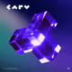 CARV Verifier License