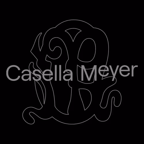 Casella Meyer VISIONS