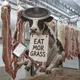 Cash Cows