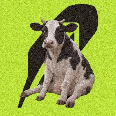 Cash Cows Robinhood Chain