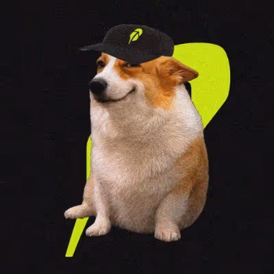 Cash Dogs