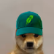 Cash DogWifHat