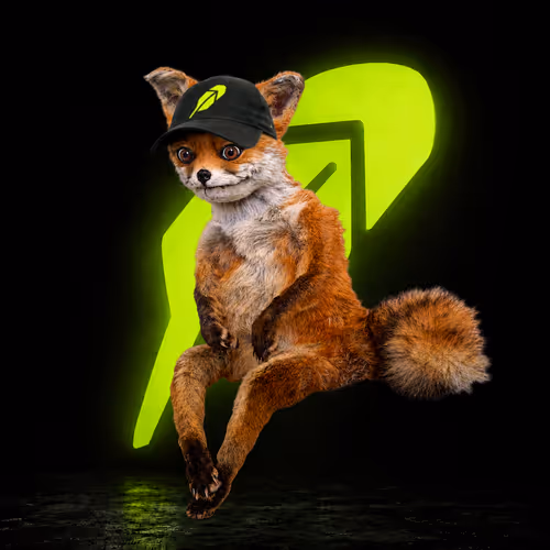 Cash Foxes