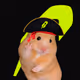 Cash Hamster