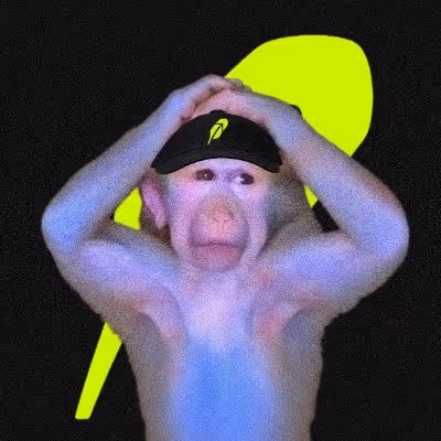 Cash monkey