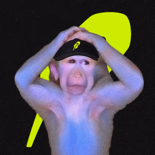 Cash Monkeys