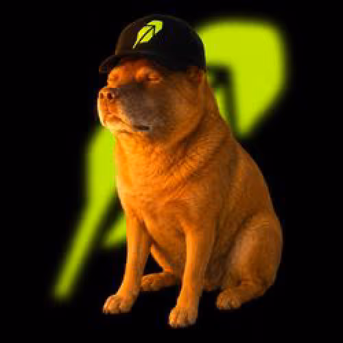 Cash_Doge