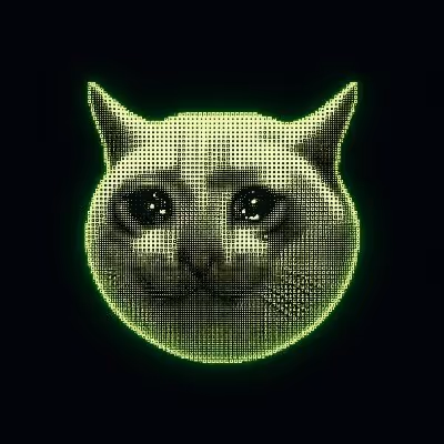 Cashcat Network