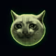 Cashcat Network