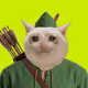 Cashcat Society