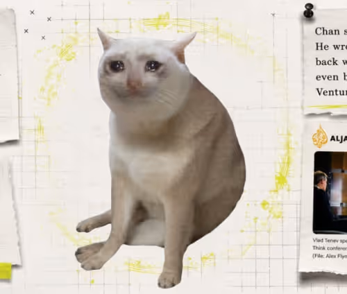 CASHCAT