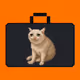 CashCatForex