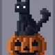 cat#2157