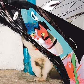 cat can give color.